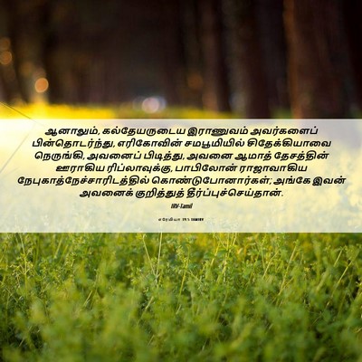Picture 06 - எரேமியா 39:5 TAMIRV - ஆனாலும், - Bible Verse Picture