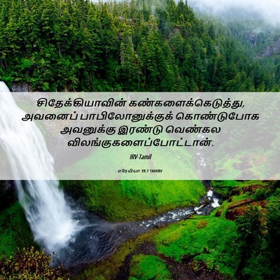 Picture 06 - எரேமியா 39:7 TAMIRV - சிதேக்கியாவின் - Bible Verse Picture
