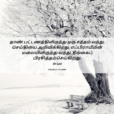 Picture 06 - எரேமியா 4:15 TAMIRV - தாண் - Bible Verse Picture