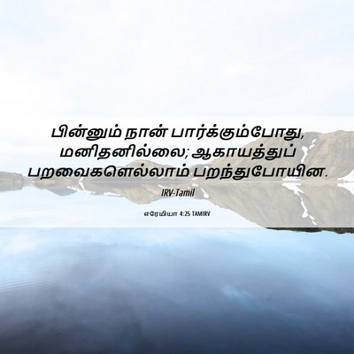 Picture 06 - எரேமியா 4:25 TAMIRV - பின்னும் நான் - Bible Verse Picture