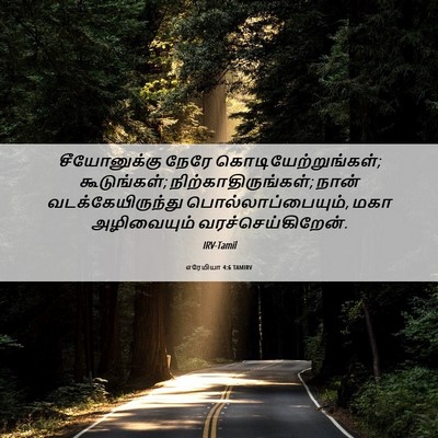 Picture 06 - எரேமியா 4:6 TAMIRV - சீயோனுக்கு நேரே - Bible Verse Picture