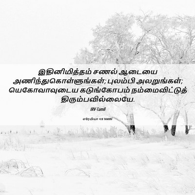 Picture 06 - எரேமியா 4:8 TAMIRV - இதினிமித்தம் சணல் - Bible Verse Picture
