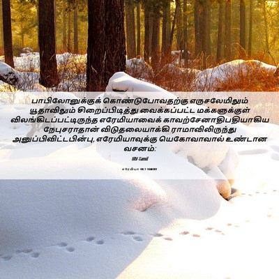 Picture 06 - எரேமியா 40:1 TAMIRV - பாபிலோனுக்குக் - Bible Verse Picture