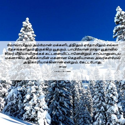 Picture 06 - எரேமியா 40:11 TAMIRV - மோவாபிலும் - Bible Verse Picture