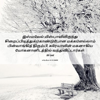 Picture 06 - எரேமியா 41:14 TAMIRV - இஸ்மவேல் - Bible Verse Picture