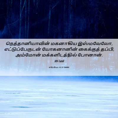 Picture 06 - எரேமியா 41:15 TAMIRV - நெத்தானியாவின் - Bible Verse Picture