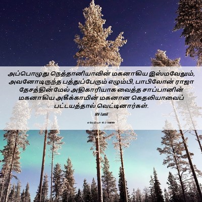 Picture 06 - எரேமியா 41:2 TAMIRV - அப்பொழுது - Bible Verse Picture