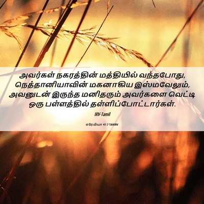 Picture 06 - எரேமியா 41:7 TAMIRV - அவர்கள் நகரத்தின் - Bible Verse Picture