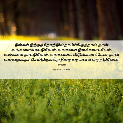 Picture 06 - எரேமியா 42:10 TAMIRV - நீங்கள் இந்தத் - Bible Verse Picture