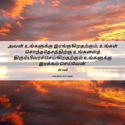 Picture 06 - எரேமியா 42:12 TAMIRV - அவன் உங்களுக்கு - Bible Verse Picture
