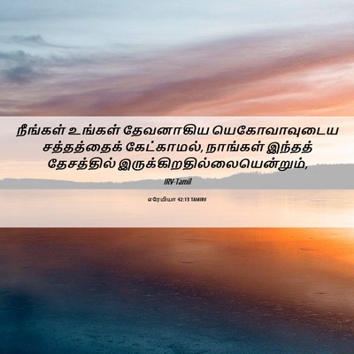 Picture 06 - எரேமியா 42:13 TAMIRV - நீங்கள் உங்கள் - Bible Verse Picture