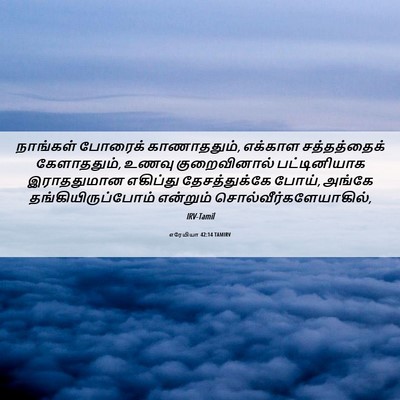 Picture 06 - எரேமியா 42:14 TAMIRV - நாங்கள் போரைக் - Bible Verse Picture