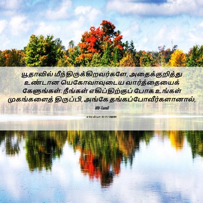 Picture 06 - எரேமியா 42:15 TAMIRV - யூதாவில் - Bible Verse Picture