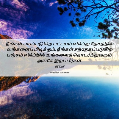 Picture 06 - எரேமியா 42:16 TAMIRV - நீங்கள் - Bible Verse Picture