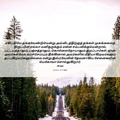 Picture 06 - எரேமியா 42:17 TAMIRV - எகிப்திலே - Bible Verse Picture