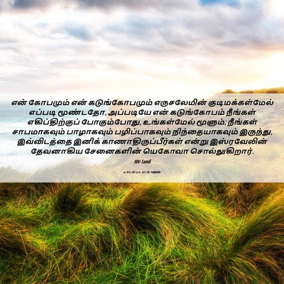 Picture 06 - எரேமியா 42:18 TAMIRV - என் கோபமும் என் - Bible Verse Picture