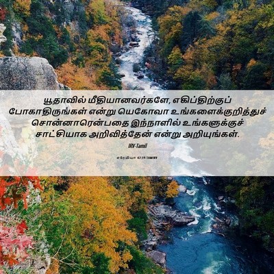 Picture 06 - எரேமியா 42:19 TAMIRV - யூதாவில் - Bible Verse Picture