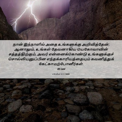Picture 06 - எரேமியா 42:21 TAMIRV - நான் இந்நாளில் - Bible Verse Picture