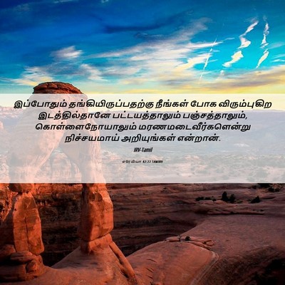 Picture 06 - எரேமியா 42:22 TAMIRV - இப்போதும் - Bible Verse Picture