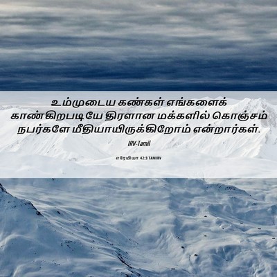Picture 06 - எரேமியா 42:3 TAMIRV - உம்முடைய கண்கள் - Bible Verse Picture