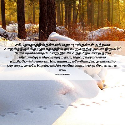 Picture 06 - எரேமியா 44:14 TAMIRV - எகிப்துதேசத்தில் - Bible Verse Picture