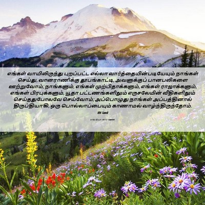 Picture 06 - எரேமியா 44:17 TAMIRV - எங்கள் - Bible Verse Picture
