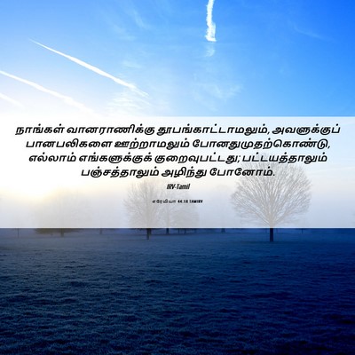 Picture 06 - எரேமியா 44:18 TAMIRV - நாங்கள் - Bible Verse Picture