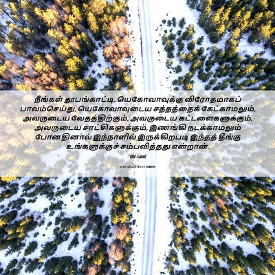 Picture 06 - எரேமியா 44:23 TAMIRV - நீங்கள் - Bible Verse Picture