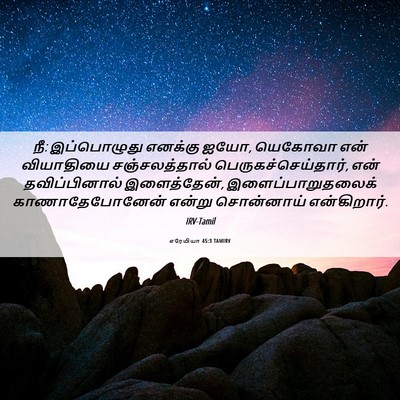 Picture 06 - எரேமியா 45:3 TAMIRV - நீ: இப்பொழுது - Bible Verse Picture