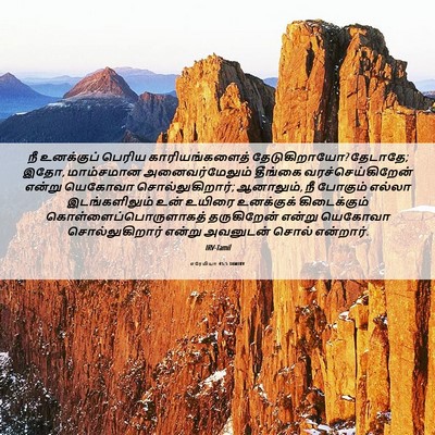 Picture 06 - எரேமியா 45:5 TAMIRV - நீ உனக்குப் பெரிய - Bible Verse Picture