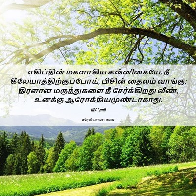 Picture 06 - எரேமியா 46:11 TAMIRV - எகிப்தின் மகளாகிய - Bible Verse Picture