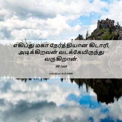 Picture 06 - எரேமியா 46:20 TAMIRV - எகிப்து மகா - Bible Verse Picture