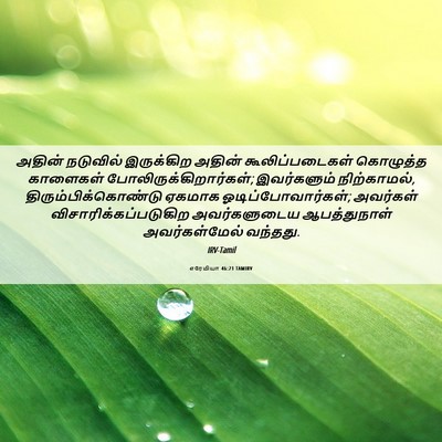 Picture 06 - எரேமியா 46:21 TAMIRV - அதின் நடுவில் - Bible Verse Picture
