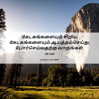 Picture 06 - எரேமியா 46:3 TAMIRV - கேடகங்களையும் - Bible Verse Picture
