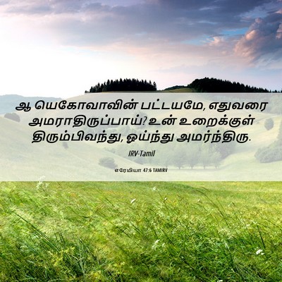 Picture 06 - எரேமியா 47:6 TAMIRV - ஆ யெகோவாவின் - Bible Verse Picture