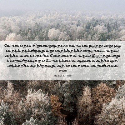 Picture 06 - எரேமியா 48:11 TAMIRV - மோவாப் தன் - Bible Verse Picture