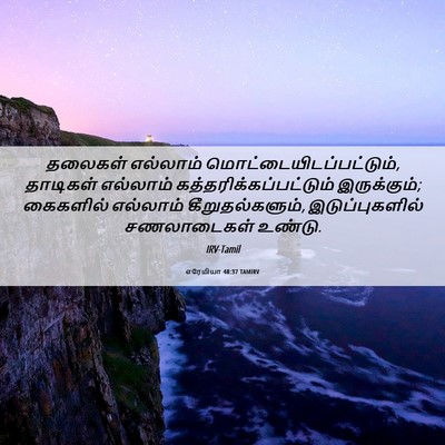 Picture 06 - எரேமியா 48:37 TAMIRV - தலைகள் எல்லாம் - Bible Verse Picture