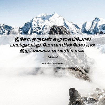 Picture 06 - எரேமியா 48:40 TAMIRV - இதோ, ஒருவன் - Bible Verse Picture