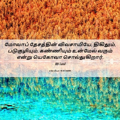 Picture 06 - எரேமியா 48:43 TAMIRV - மோவாப் தேசத்தின் - Bible Verse Picture
