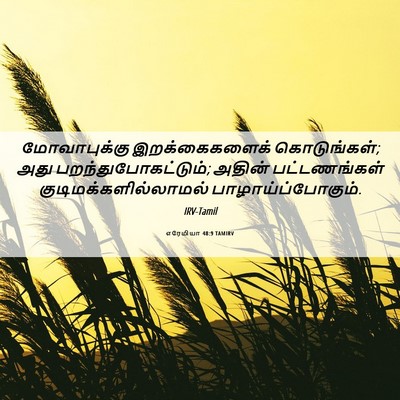 Picture 06 - எரேமியா 48:9 TAMIRV - மோவாபுக்கு - Bible Verse Picture
