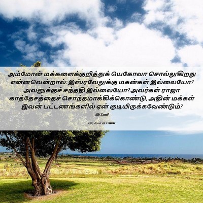 Picture 06 - எரேமியா 49:1 TAMIRV - அம்மோன் - Bible Verse Picture