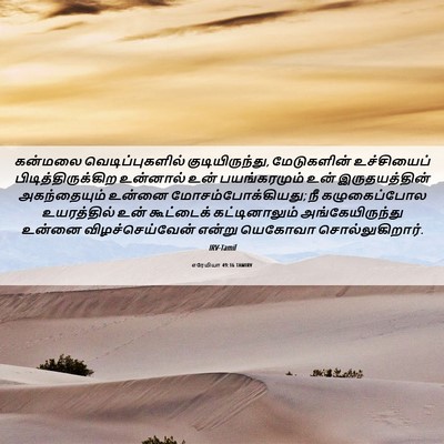 Picture 06 - எரேமியா 49:16 TAMIRV - கன்மலை - Bible Verse Picture