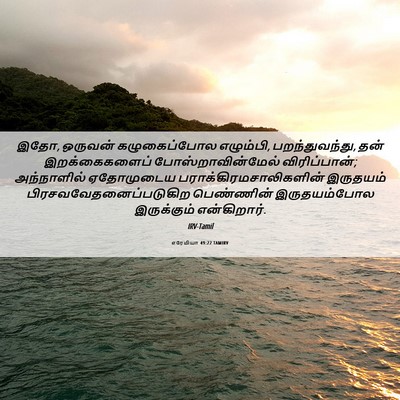 Picture 06 - எரேமியா 49:22 TAMIRV - இதோ, ஒருவன் - Bible Verse Picture