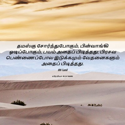Picture 06 - எரேமியா 49:24 TAMIRV - தமஸ்கு - Bible Verse Picture