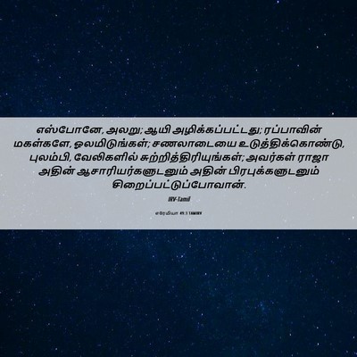 Picture 06 - எரேமியா 49:3 TAMIRV - எஸ்போனே, அலறு; ஆயி - Bible Verse Picture