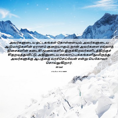 Picture 06 - எரேமியா 49:32 TAMIRV - அவர்களுடைய - Bible Verse Picture