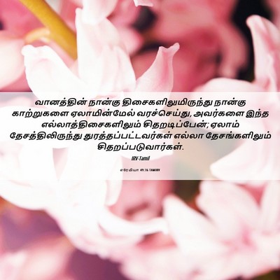 Picture 06 - எரேமியா 49:36 TAMIRV - வானத்தின் நான்கு - Bible Verse Picture