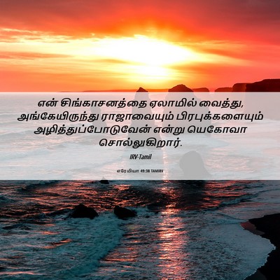 Picture 06 - எரேமியா 49:38 TAMIRV - என் சிங்காசனத்தை - Bible Verse Picture