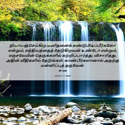 Picture 06 - எரேமியா 5:1 TAMIRV - நியாயஞ்செய்கிற - Bible Verse Picture
