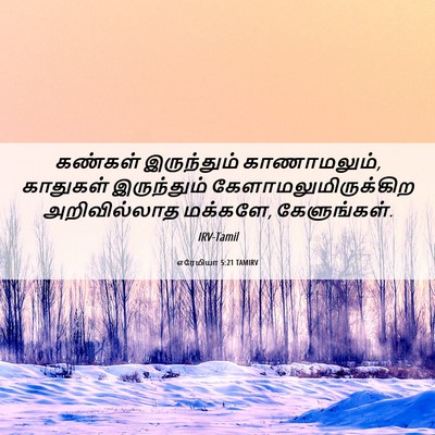 Picture 06 - எரேமியா 5:21 TAMIRV - கண்கள் இருந்தும் - Bible Verse Picture